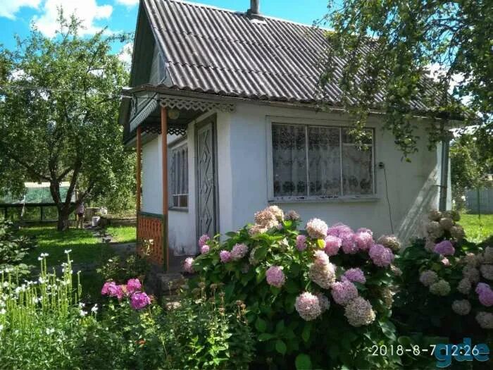 Продажа дач в гродно с фото Дача, д.Кордон Вилейский район Продажа домов, дач в Вилейке Объявление от 05.04.