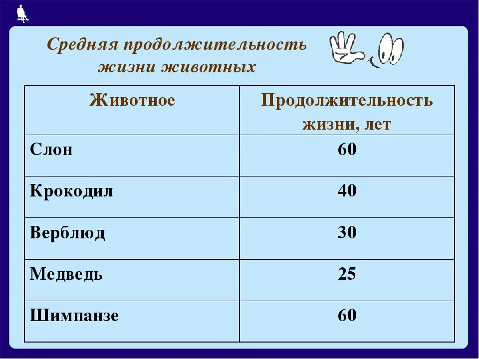 Продолжительность жизни фото Исследовательский проект продолжительность жизни