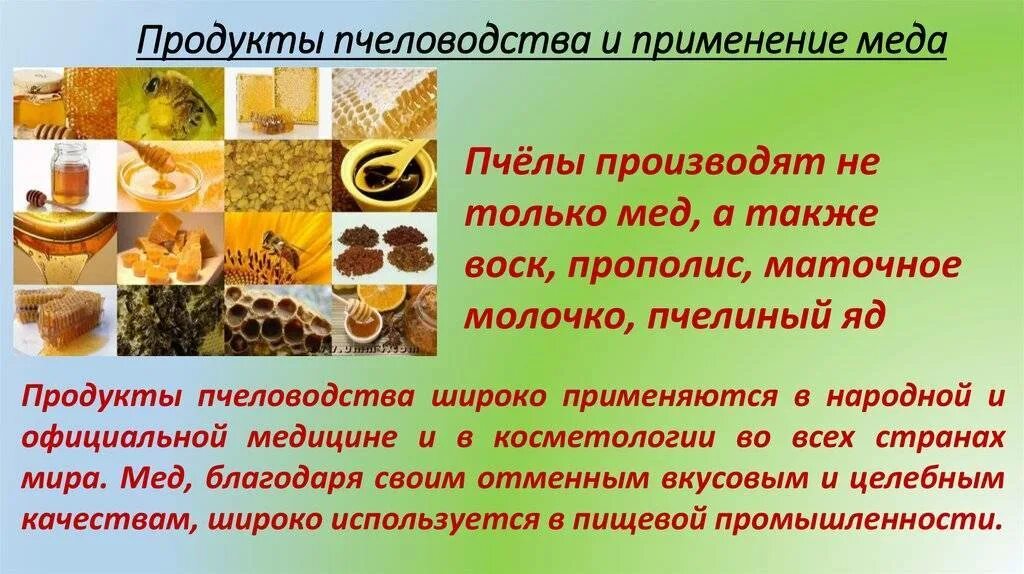 Продукты меда и пчеловодства названия и фото Продукты пчеловодства какие - CoffeePapa.ru