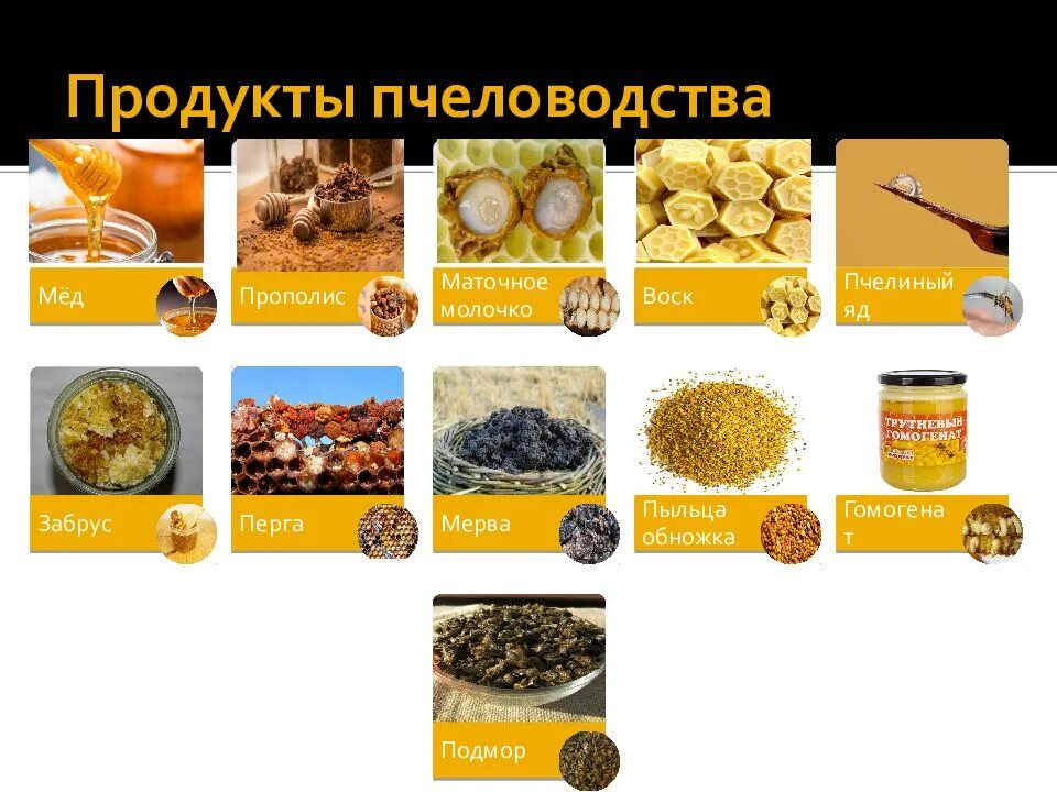 Продукты меда и пчеловодства названия и фото Пчелиная продукция - CoffeePapa.ru