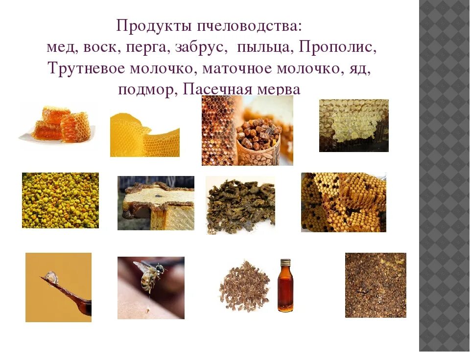 Продукты меда и пчеловодства названия и фото Картинки ПРОДУКТЫ ПЧЕЛОВОДСТВА НАЗВАНИЯ