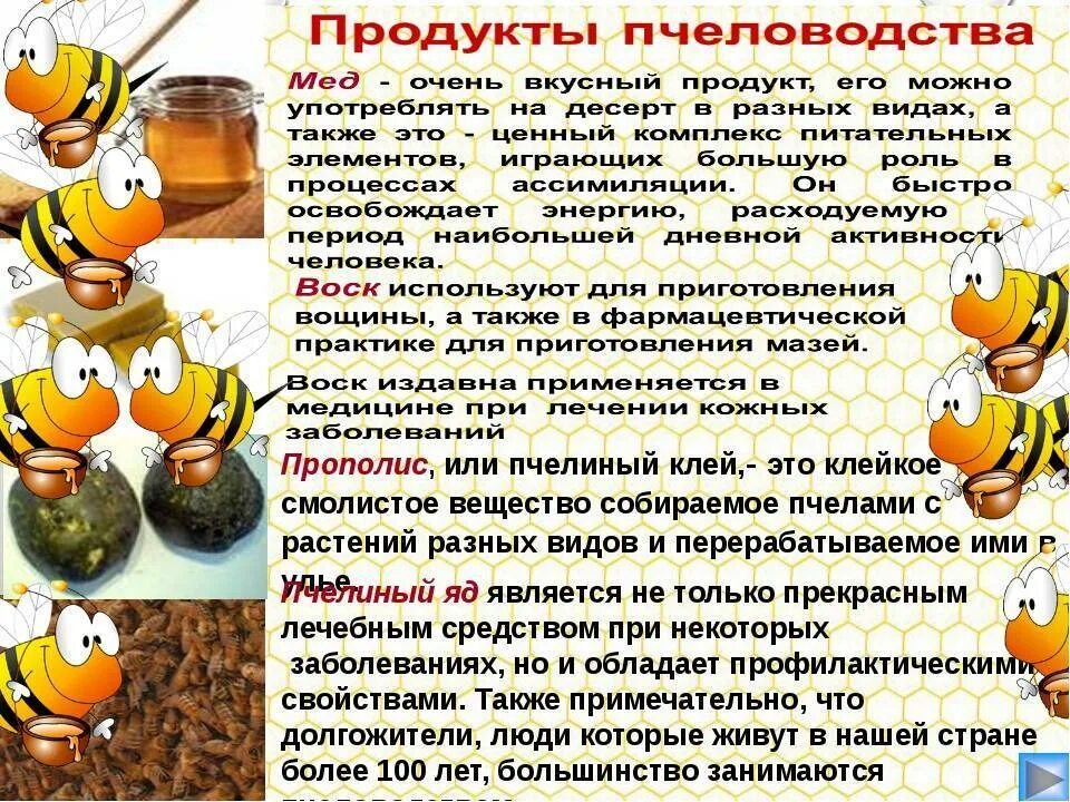 Продукты меда и пчеловодства названия и фото Продукты пчеловодства какие - CoffeePapa.ru