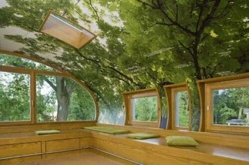 Проект дерево дизайн Amazing Tree House Office - Shelterness Luxury tree houses, Modern tree house, C