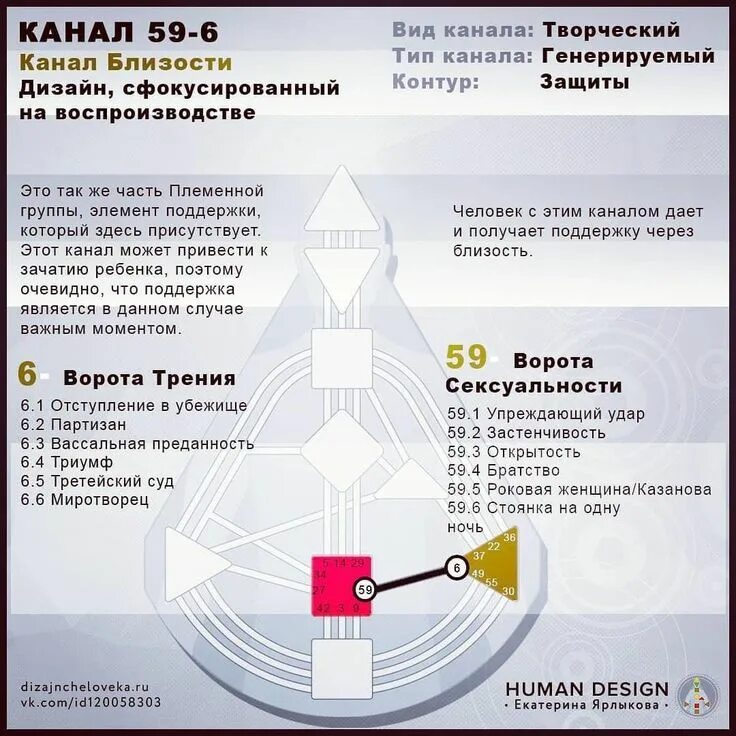 Проект дизайн человека 6-59 Канал Human Design - Канал Спаривания 6-59 (Дизайн Человека) Дизайн карты, 