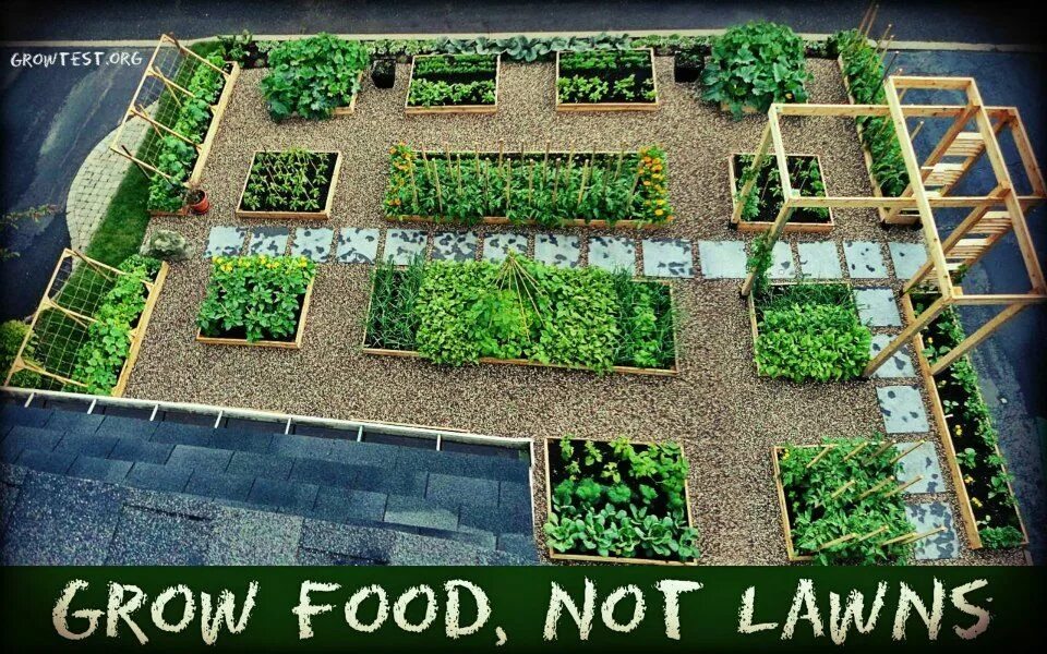 Проект дизайн огород Grow Food, Not Lawns (с изображениями) Ландшафтный дизайн, Сад, Дизайн