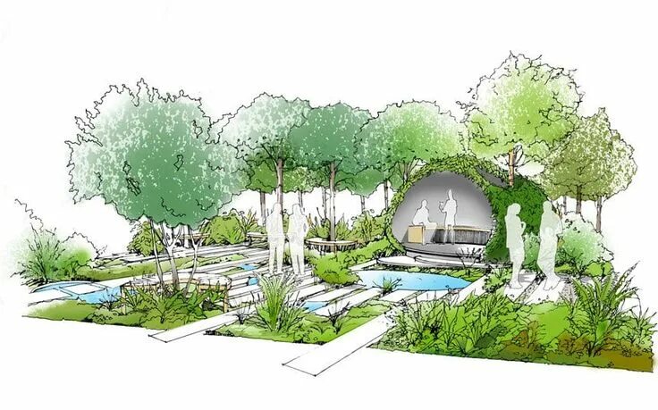 Проект на тему ландшафтный дизайн RHS Hampton Court Palace 2015: Show Garden sketches Landscape drawings, Landscap