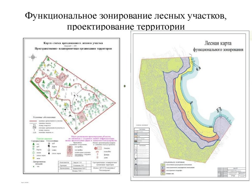 Проект планировки лесного участка Пин от пользователя Hristina Filimonova на доске landscape