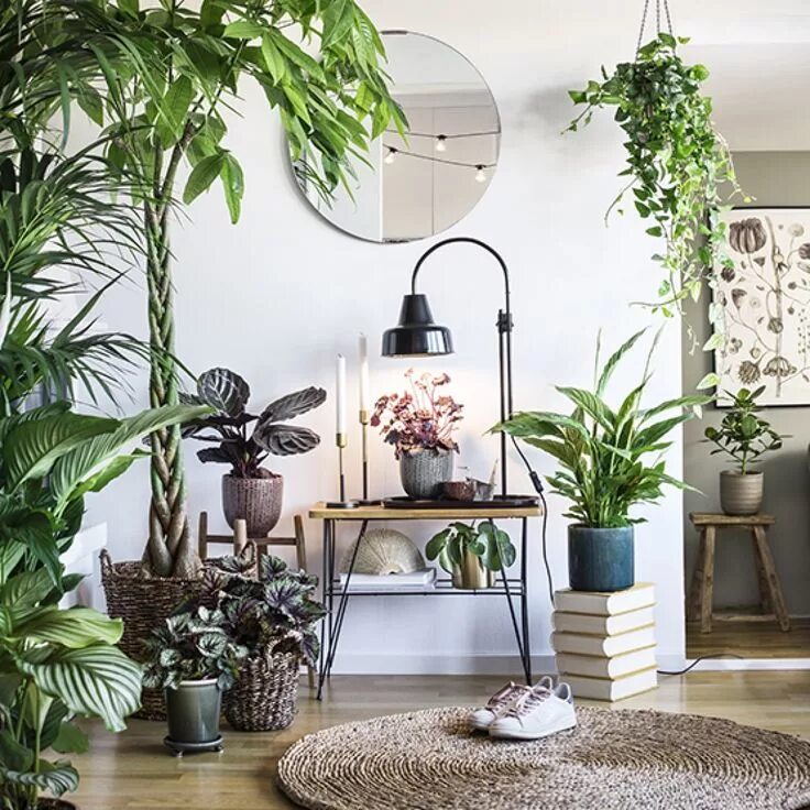 Проект растения интерьере дома Inred med gröna växter Natural home decor, Home decor bedroom, Interior plants