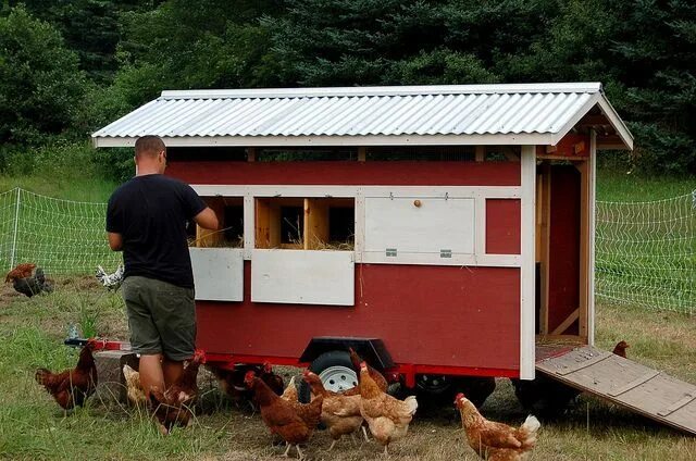 Проекты курятника фото Mobile Layer Coops on Pinterest Chicken Coops, Chicken Tractors and Trailers Mob