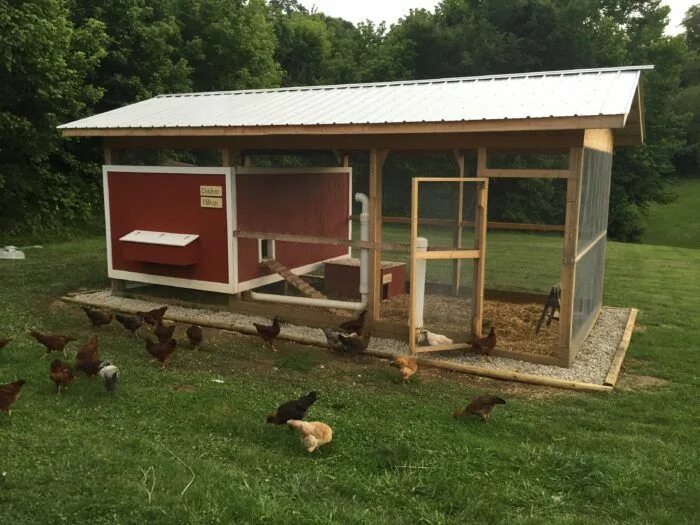 Проекты курятника фото 6 Basics for Chicken Coop Design - Backyard Poultry Chicken shed, Chicken coop d