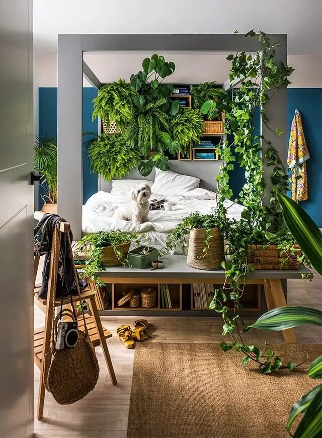 Проекты про растение в интерьере дома VOX meble Living room plants decor, Home interior design, Gorgeous interiors