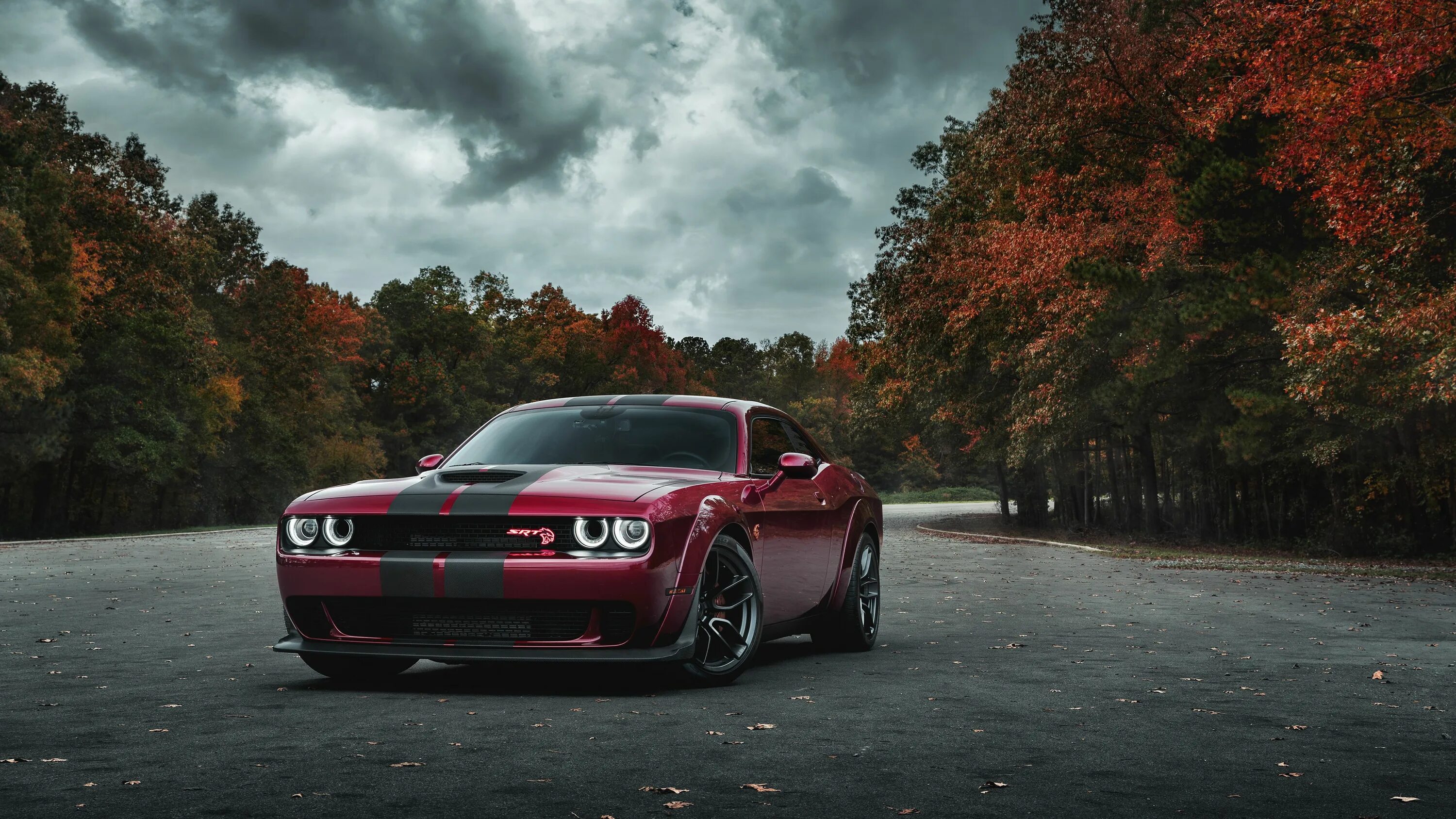 Профессиональные фото авто Dodge Challenger SRT Hellcat Widebody Front Look hd-wallpapers, dodge challenger