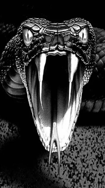 Профиль змеи фото snake_EZfESHpK.gif (360 × 640) Idee per tatuaggi, Tatuaggio del serpente, Tatuag