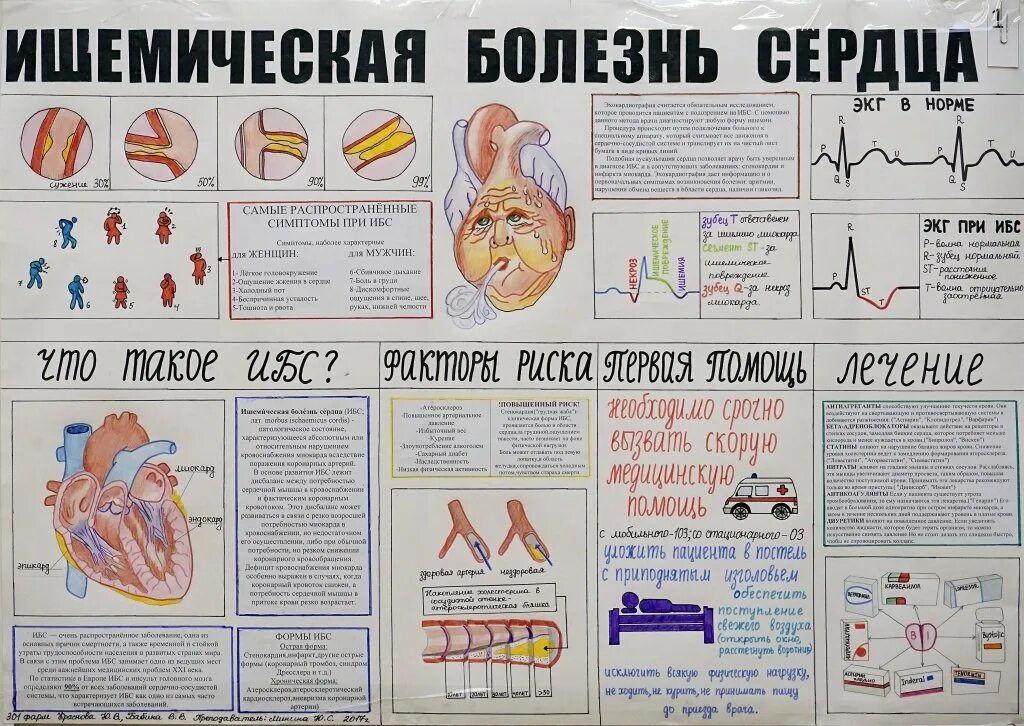 Профилактика ишемической болезни сердца фото Профилактика ишемической болезни