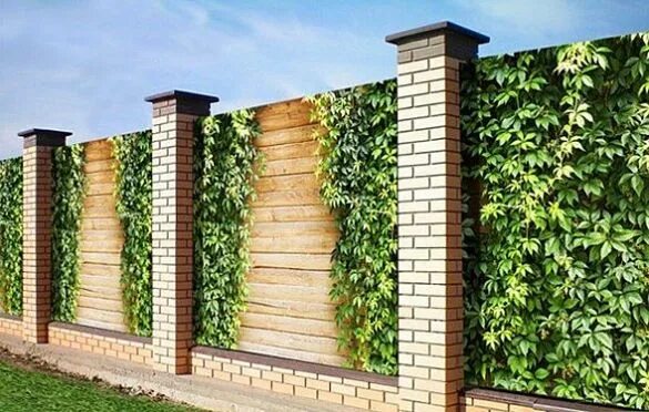 Профлист с рисунком для забора фото ideas for life Outdoor structures, Outdoor, Garden arch