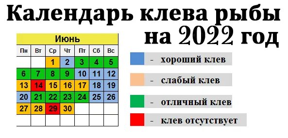 Прогноз клева по лунному календарю Лунный календарь рыбака на декабрь месяц фото - PwCalc.ru