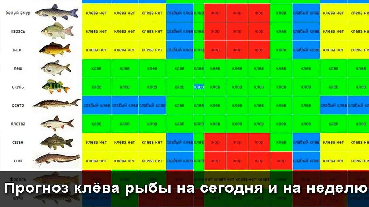 Прогноз клева по лунному календарю Календарь рыбака волгоградская