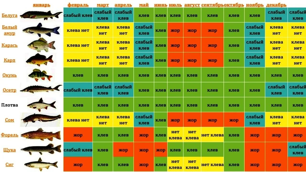 Прогноз клева по лунному календарю Картинки ПРОГНОЗ КЛЕВА ХАРИУСА В КРАСНОЯРСКЕ