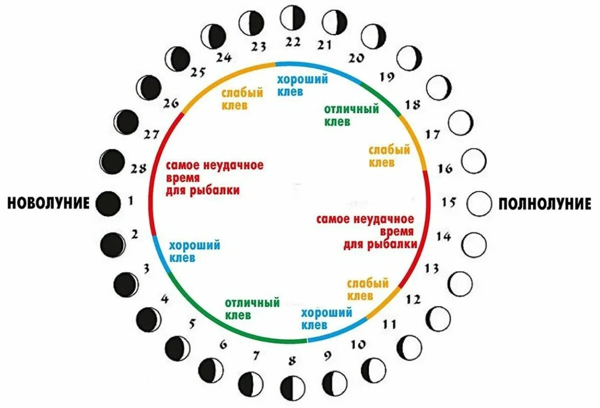 Прогноз клева по лунному календарю Лунный календарь рыболова на 2021 год - Влияние фаз Луны на клев рыбы! Рыбалка, 