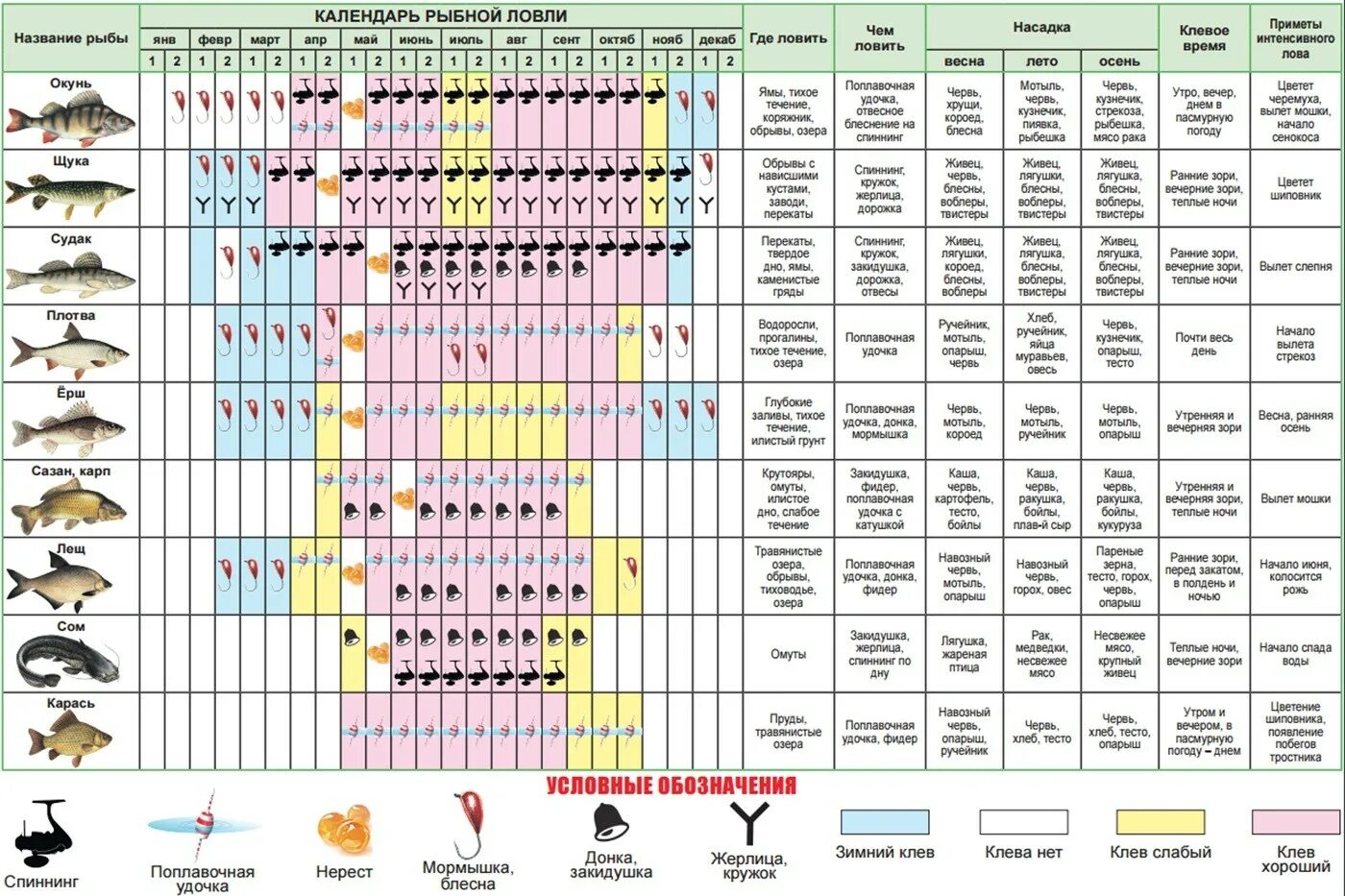 Прогноз клева по лунному календарю Календарь рыбака на 2024 год - Онлайн таблица по месяцам с фазами Луны