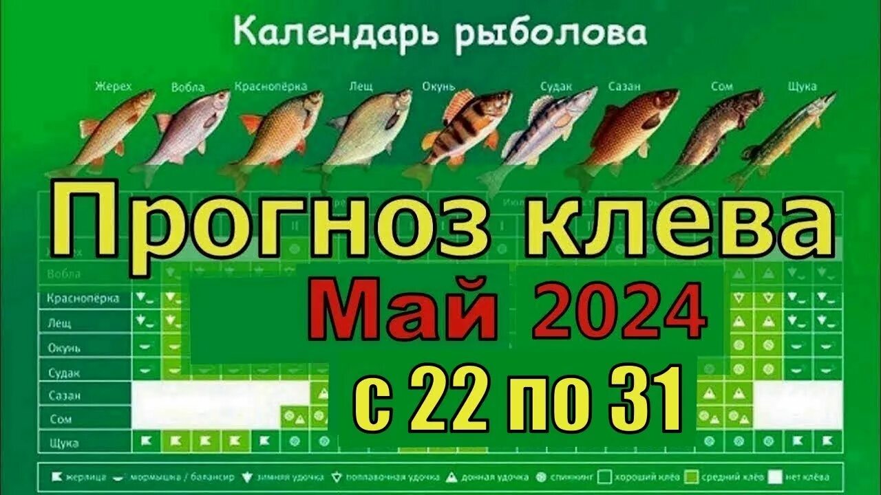 Прогноз клева по лунному календарю Все о рыбалке Охота Видео Статьи Техника ловли Календарь рыболова Виды рыб Совет