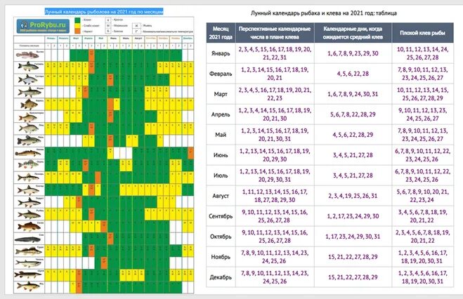 Прогноз клева по лунному календарю Лунный календарь рыболова 2021г. Благоприятные для рыбалки в 2021 году?
