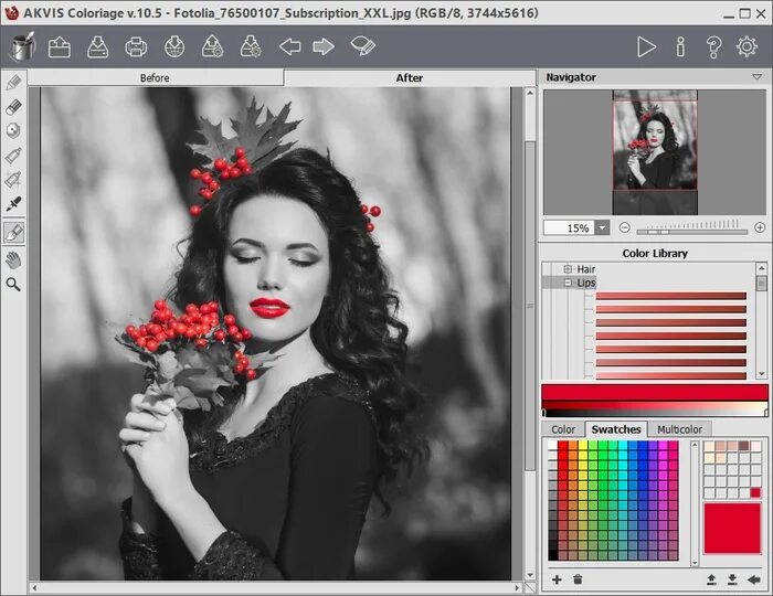 Программа для черно белых фото в цветные Retoucher 8.1, MultiBrush 9.0, Coloriage 10.5 - Compatibility with Photoshop CC 