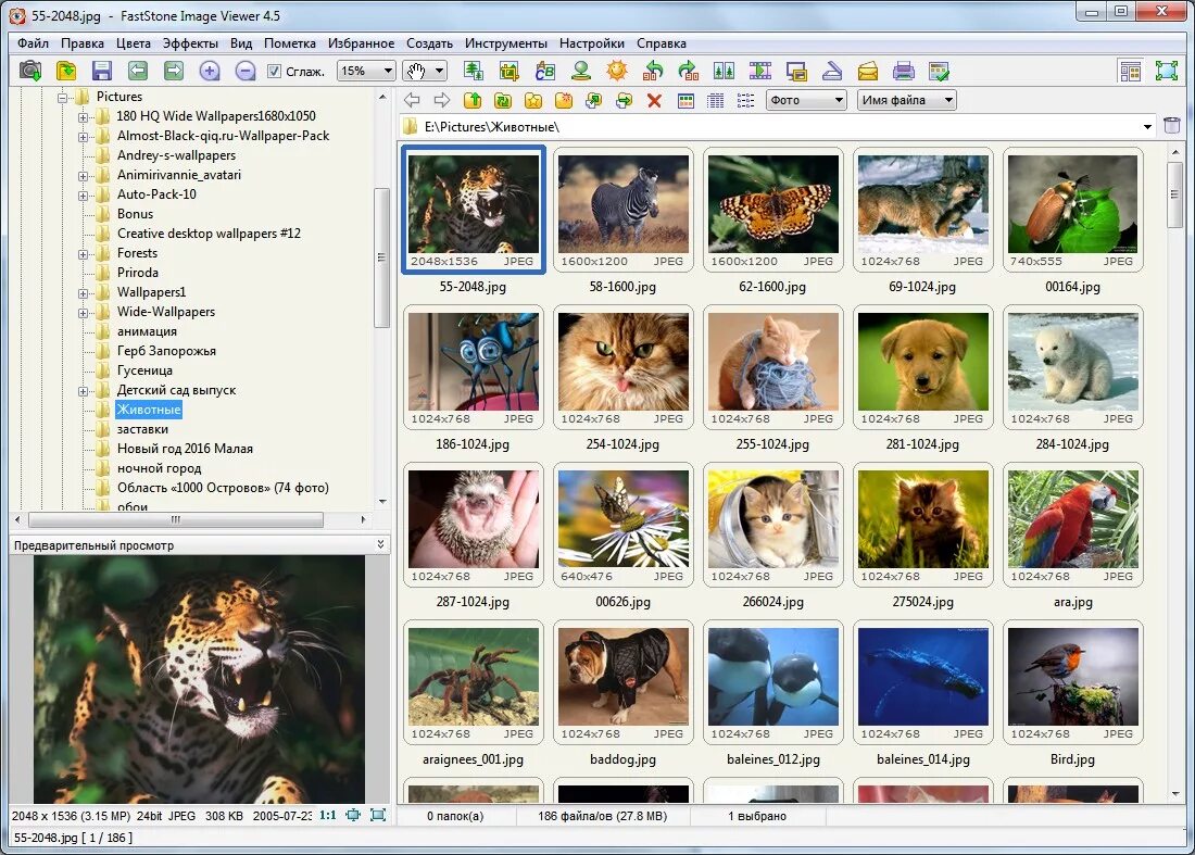 Программа для просмотра фото на ноутбуке Программа для просмотра фотографий, скачать FastStone