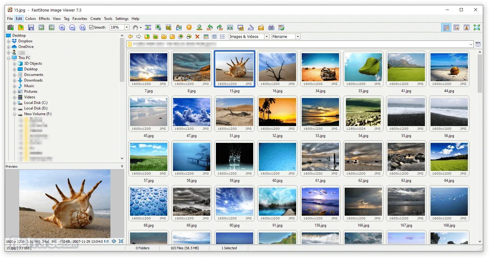 Программа для просмотра фото на ноутбуке FastStone Image Viewer 5.9 Download