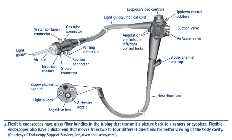 Программа подключения эндоскопа к компьютеру Molester Sindicato rumor endoscopy equipment captura Pequeño al exilio