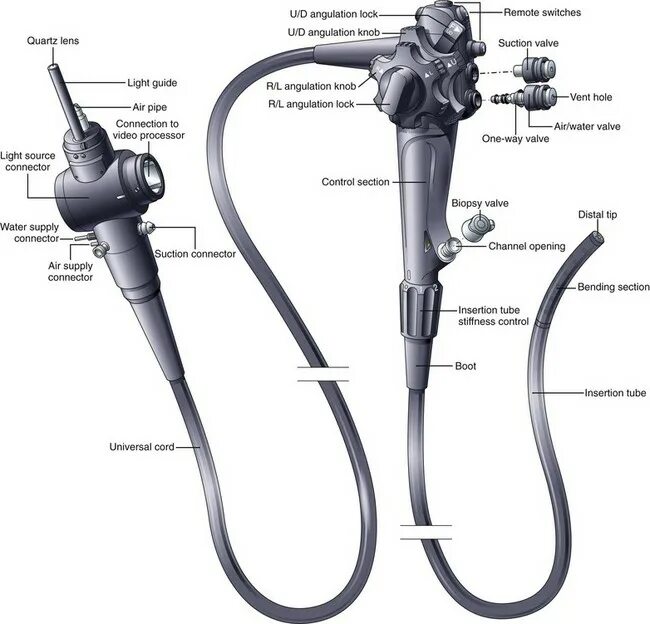 Программа подключения эндоскопа к компьютеру Conditionnel Persistant Explique endoscopy tube Programme Intrusion ruban