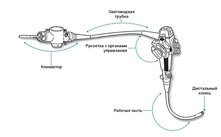 Программа подключения эндоскопа к компьютеру Как выбрать оборудование для гибкой эндоскопии?