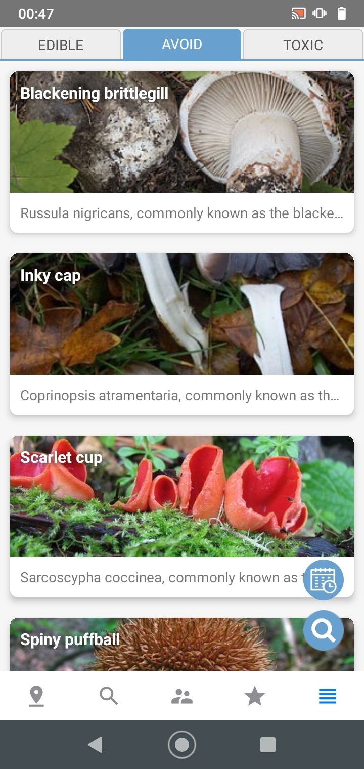 Программа распознавания грибов по фото Mushroom Identify APK Download for Android Free