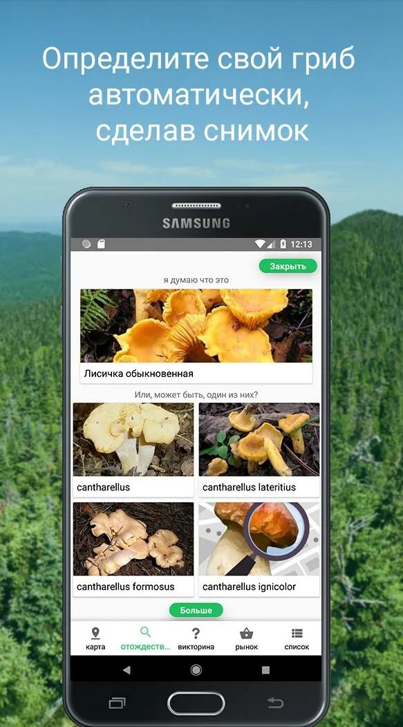 Программа распознавания грибов по фото для андроид Скачать Mushroom Identify (признать гр APK для Android