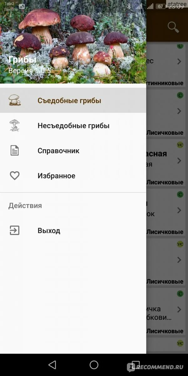 Программа распознавания грибов по фото для андроид Компьютерная программа Грибы - "хороший грибной справочник" отзывы