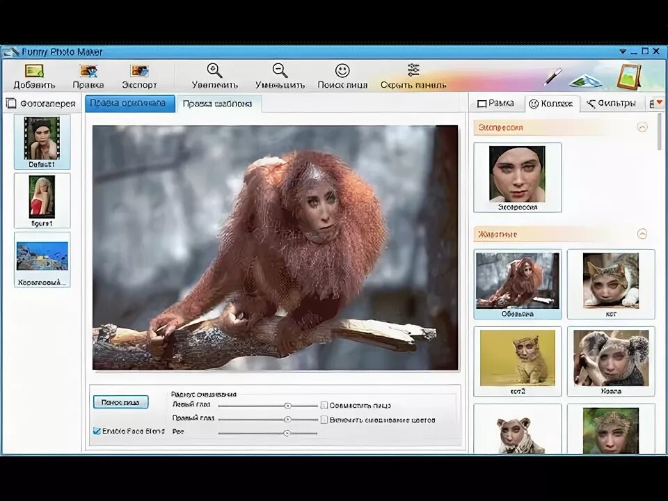 Программа смешных фото Funny Photo Maker - программа для создания фотоприколов - YouTube