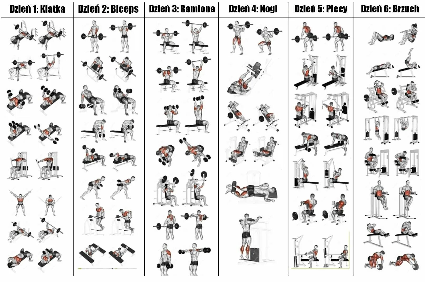 Программа тренировок в тренажерном зале фото Oto 6-dniowy plan treningowy, który musisz wypróbować. Efekty są rewelacyjne! Wo