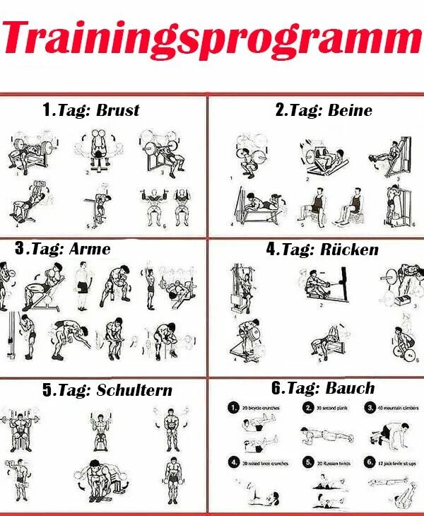 Программа тренировок в тренажерном зале фото 6-er Split Bauch weg, Programm, Training