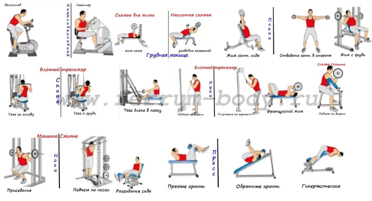 Программа тренировок в тренажерном зале фото Виды тренажеров и упражнения Круговые тренировки, Планы тренировок в зале, Трена