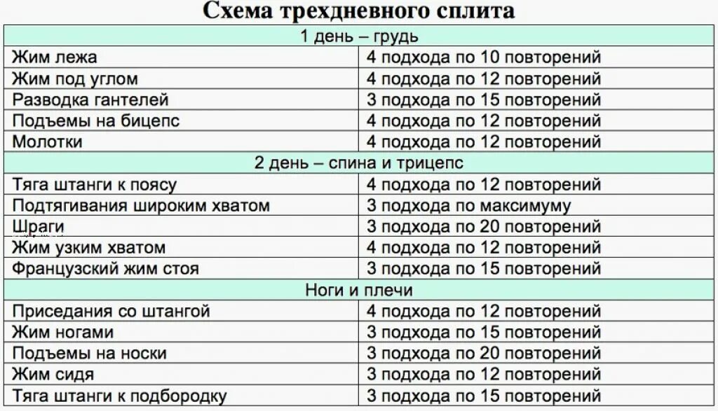 Программа тренировок в тренажерном зале фото Что такое сплит тренировка в тренажерном зале