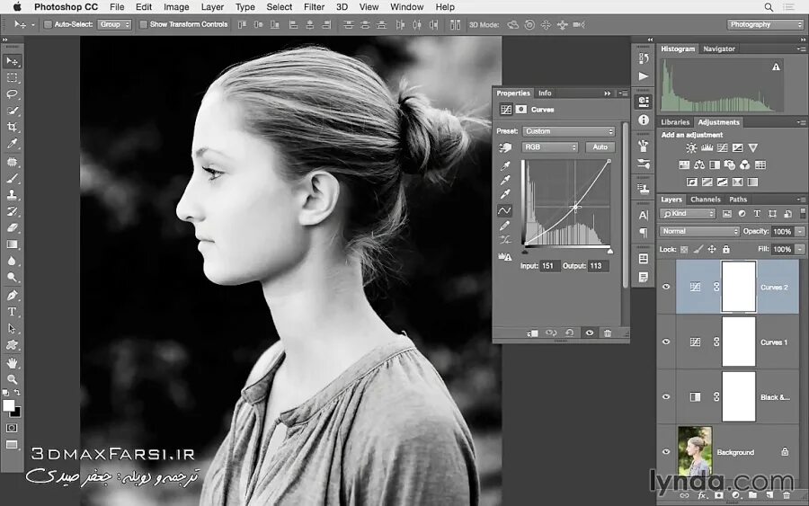 Программы делают черно белые фото آموزش ویدئویی کامل Photoshop CC در عکاسی صفر تا صد فارسی