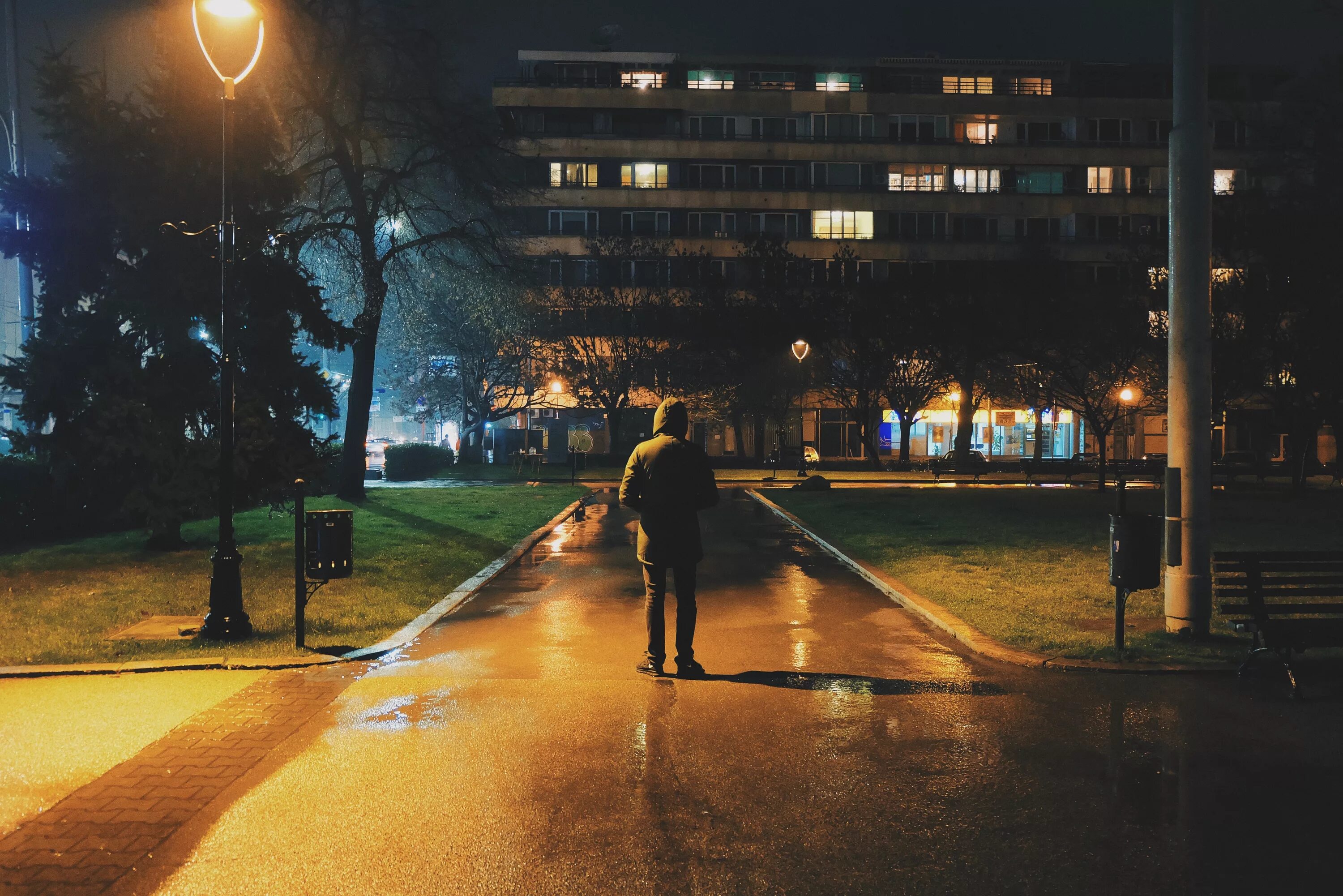 Прогулка ночью фото Free Images : night, street light, lighting, sky, evening, infrastructure, midni