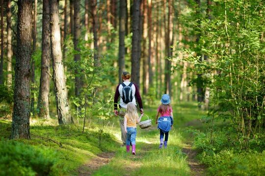 Прогулка по лесу фото Grandparents Family In Forest Зображення - огляд 14,396 Стокові фото, векторні з