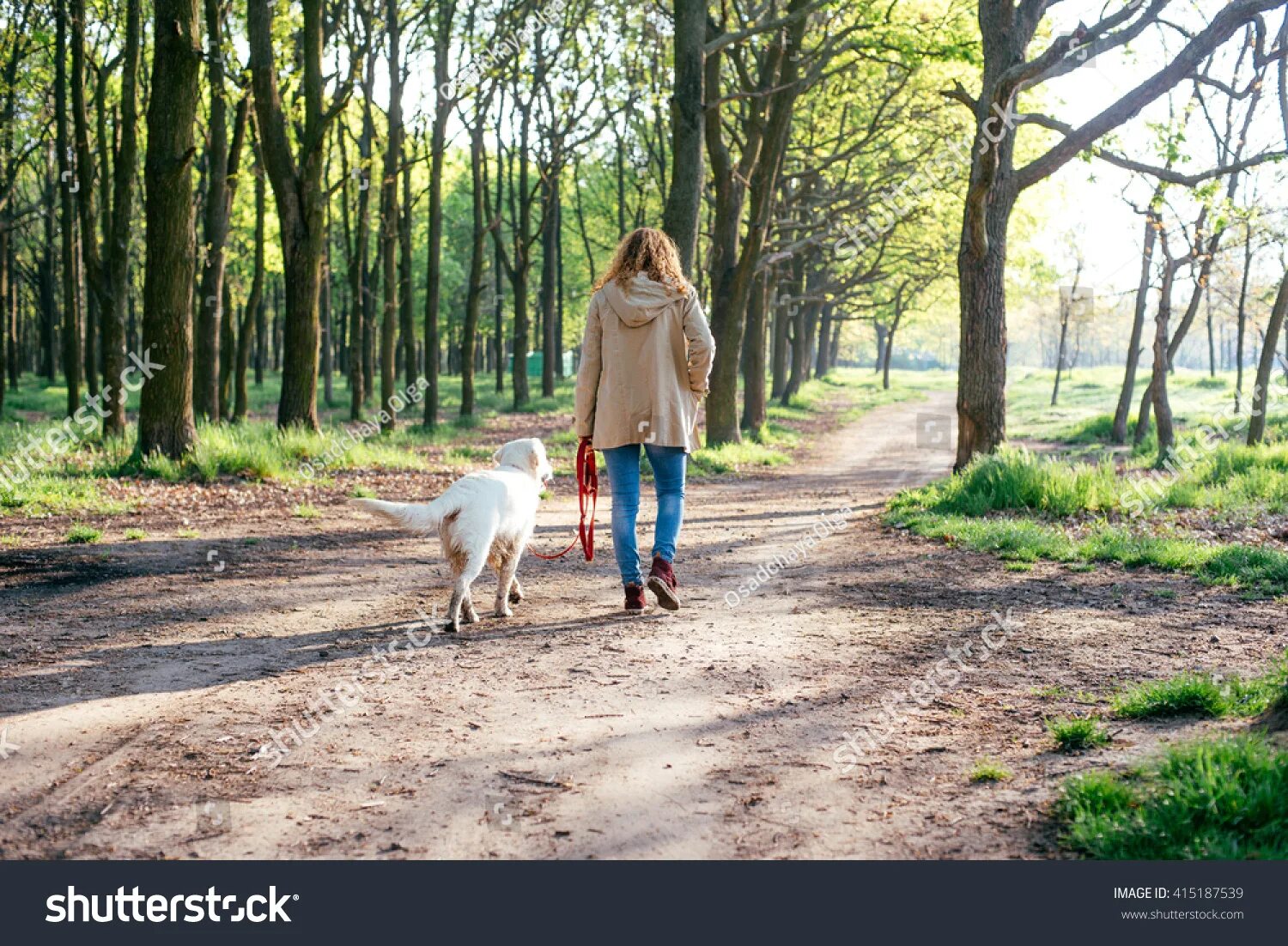 Прогулка с собакой фото 572 347 рез. по запросу "A dog on walk" - изображения, стоковые фотографии и век