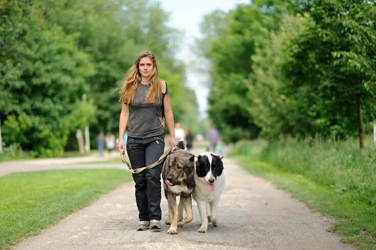 Прогулка с собакой фото Pin em Pet Lovers