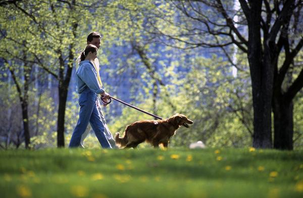 Прогулка с собакой фото Man and Woman Walk a Dog ⋆ BringFido