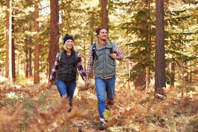 Прогулка в лесу подписать фото Boy Enjoying Hike in a Forest with Family, California, USA Stock Photo - Image o