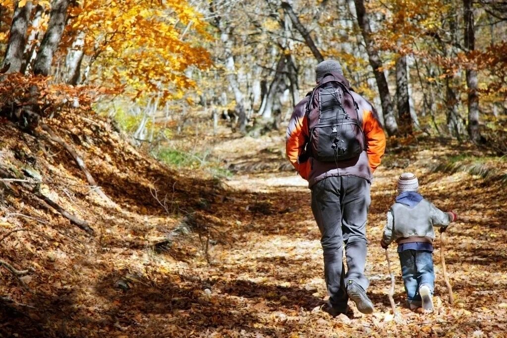 Прогулка в лесу подписать фото Как выбрать детские кроссовки, 10 советов которые позволят сделать правильный вы