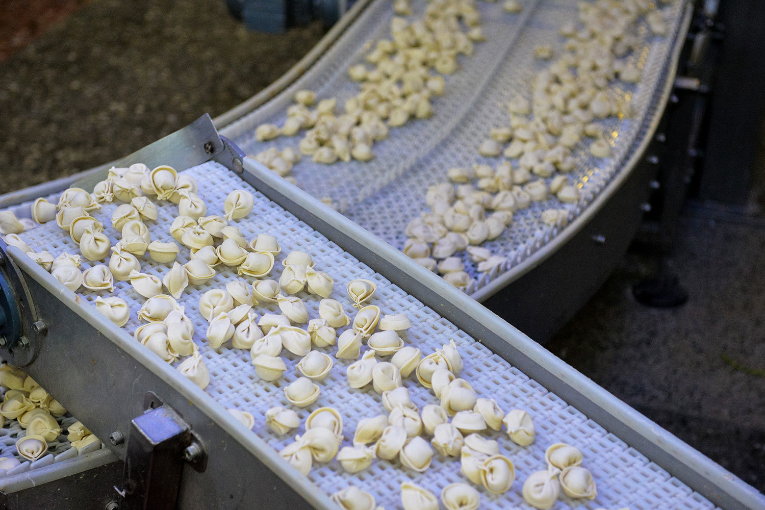 Производство пельменей фото Корейская CJ CheilJedang купила производителя пельменей "Равиоли" - Ведомости