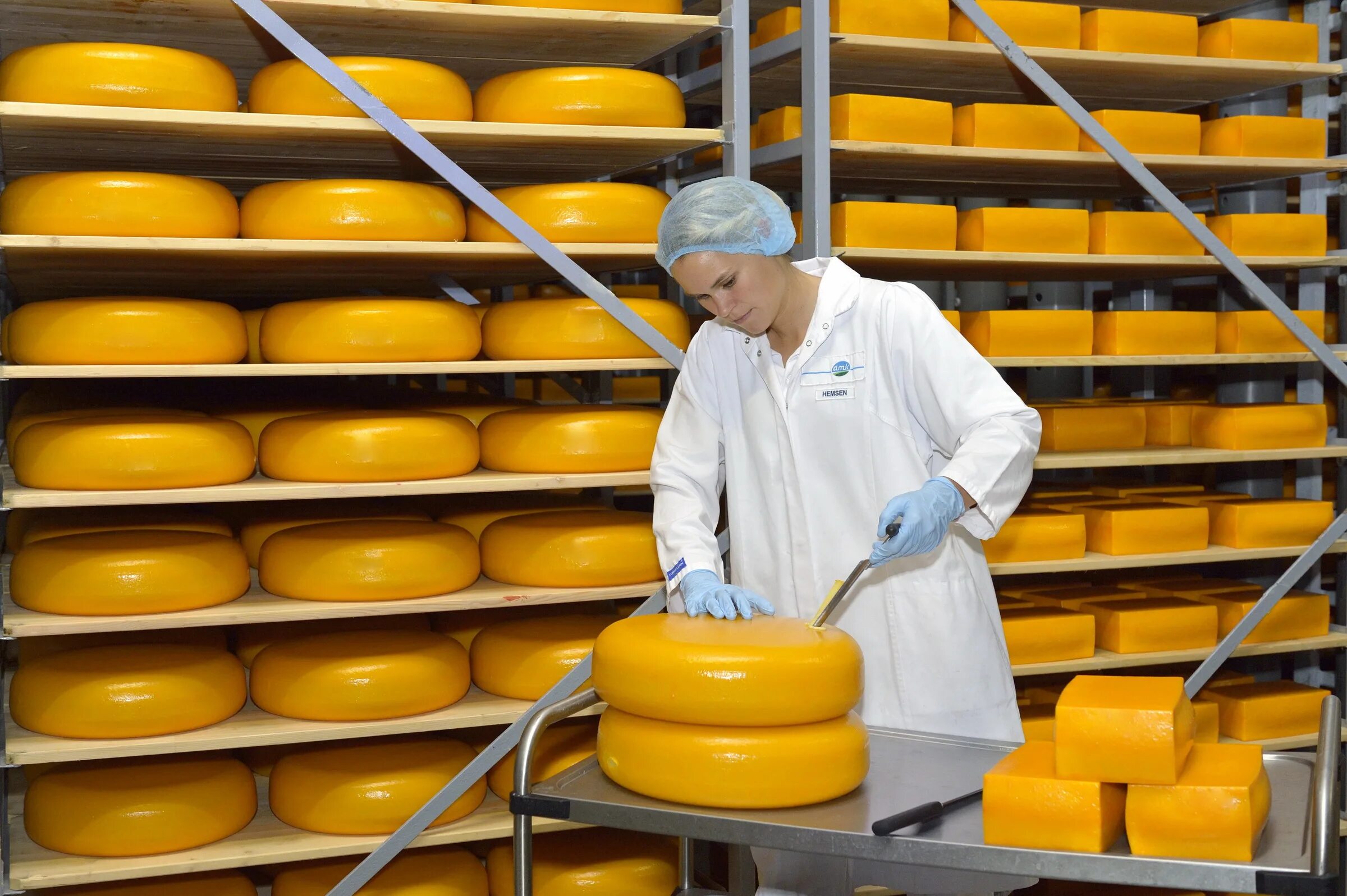 Производство сыра фото Germany’s largest dairy company to produce cheese in Russia